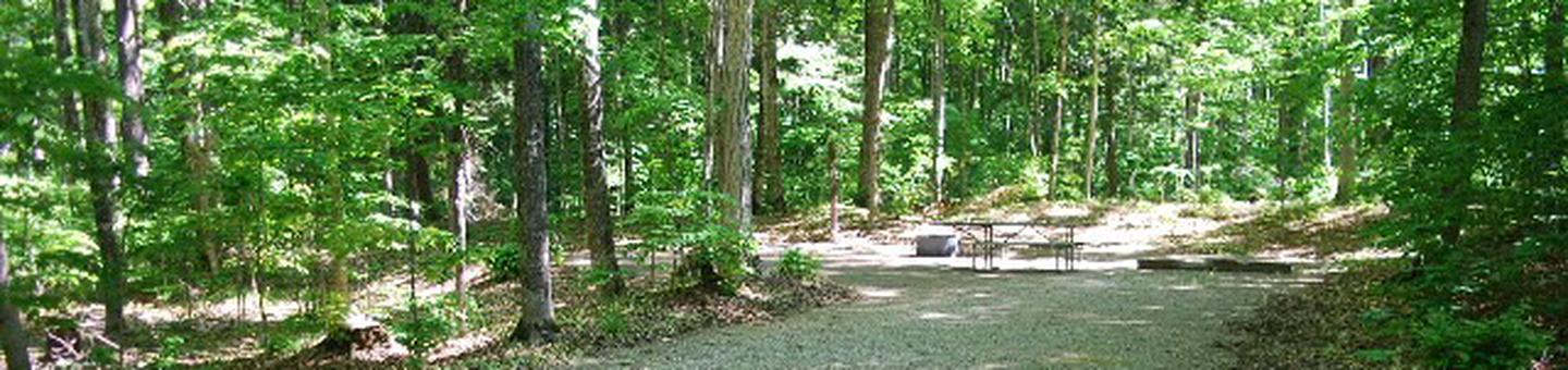Pete's Lake Campground site #26