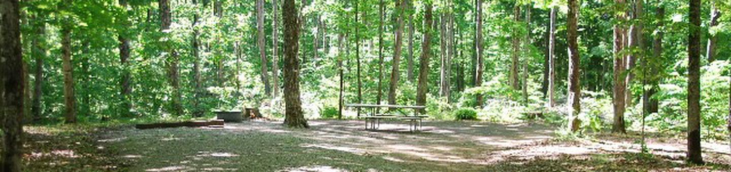 Pete's Lake Campground site #27