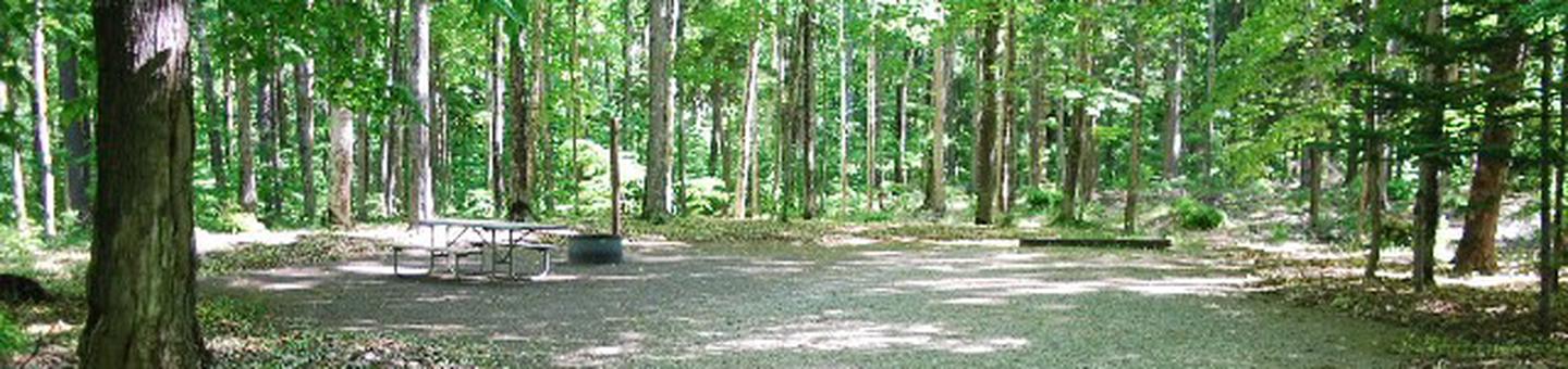 Pete's Lake Campground site #28