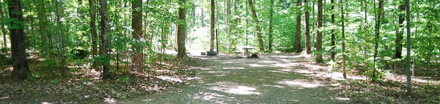 Pete's Lake Campground site #29