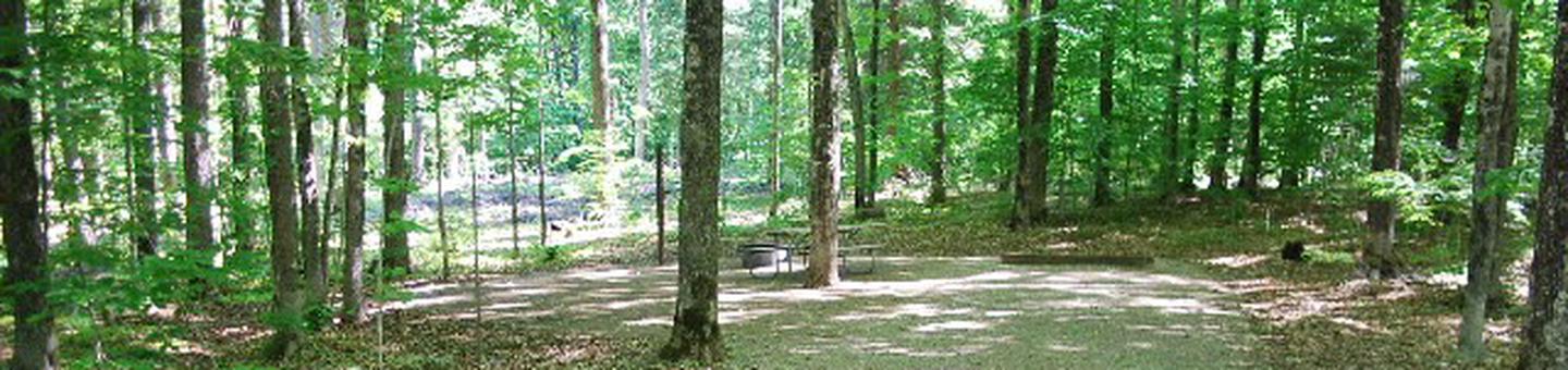 Pete's Lake Campground site #31