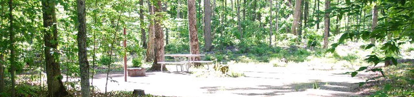 Pete's Lake Campground site #35