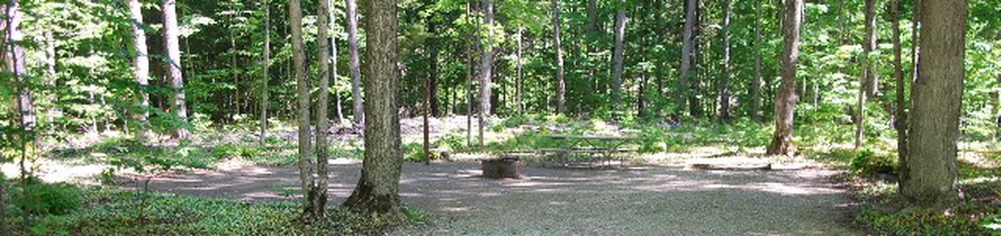 Pete's Lake Campground site #36