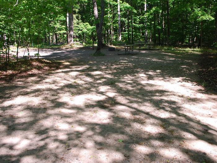 Pete's Lake Campground site #37D