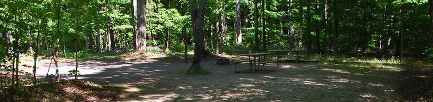 Pete's Lake Campground site #37D