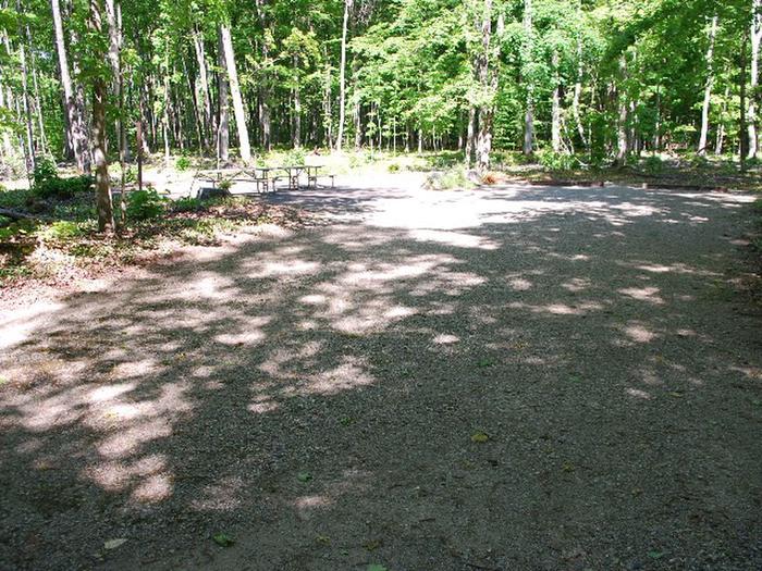 Pete's Lake Campground site #39D