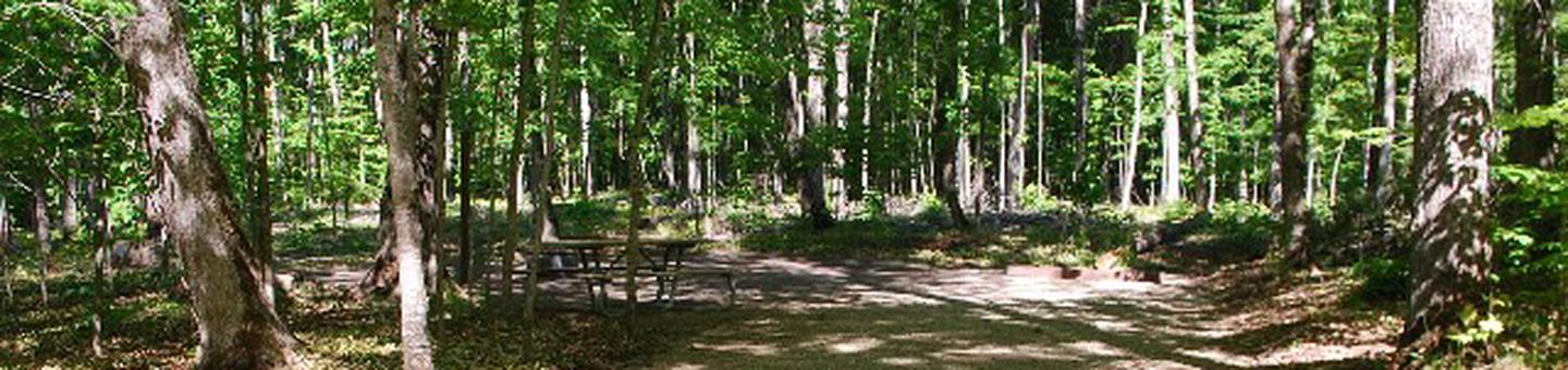 Pete's Lake Campground site #41
