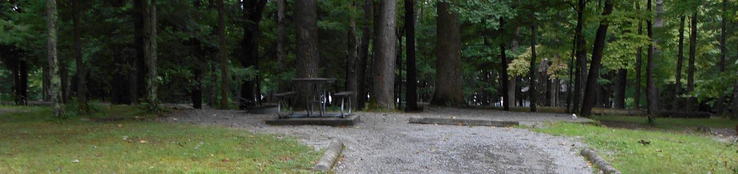 Cades Cove Campground C43C43 Tent Only Generator Free Area