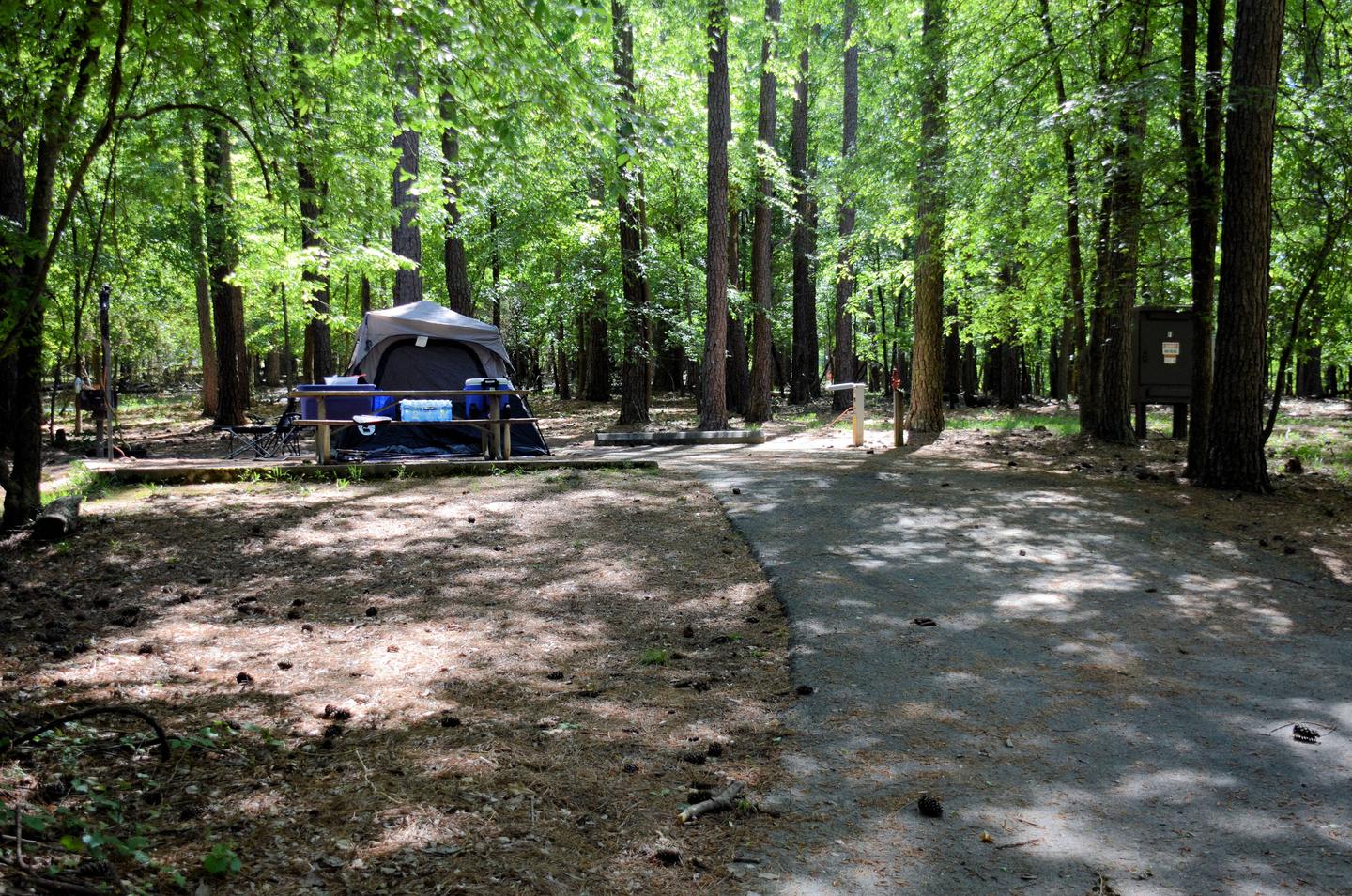 Driveway slope, utilities-side clearance, awning-side clearance.McKinney Campground, campsite 68