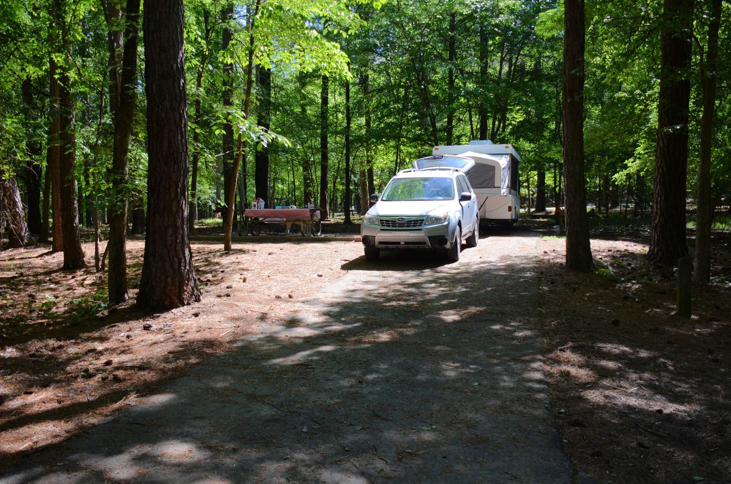 Driveway slope, utilities-side clearance, awning-side clearance.McKinney Campground, campsite 69.