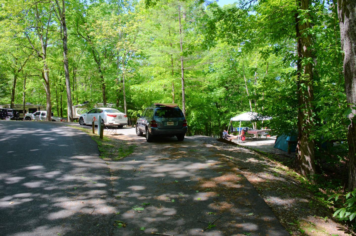 Pull-thru entrance, utilities-side clearance.McKinney Campground, campsite 83.