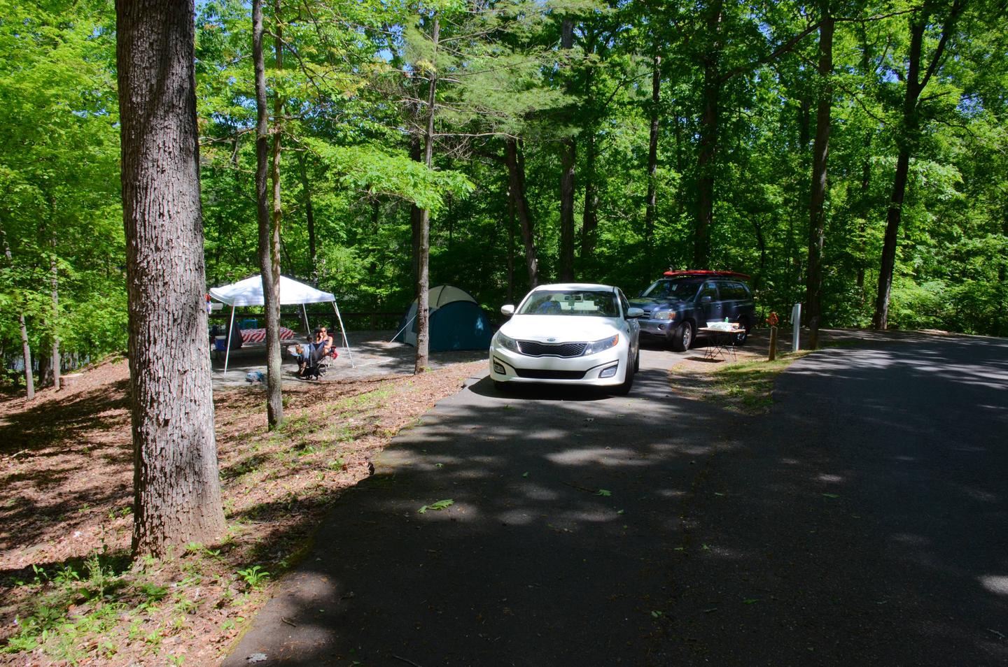 Pull-thru exit, driveway slope, awning-side clearance.McKinney Campground, campsite 83.