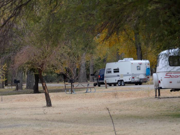 Two travel trailers in campsite with trees lining the sites and roadwayCottonwood Campground with travel trailers
