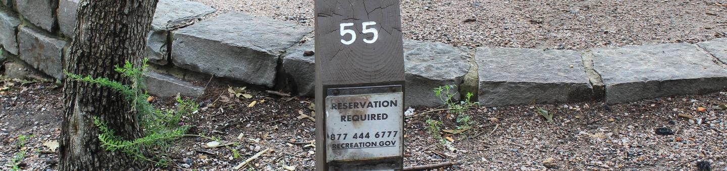 Site 55 Buckhorn Campground
