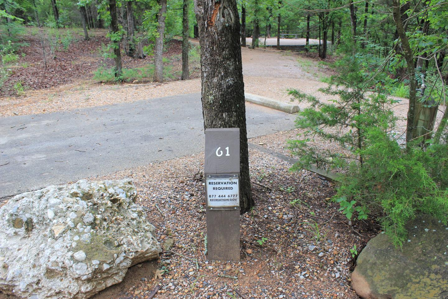 Site 61 Buckhorn Campground