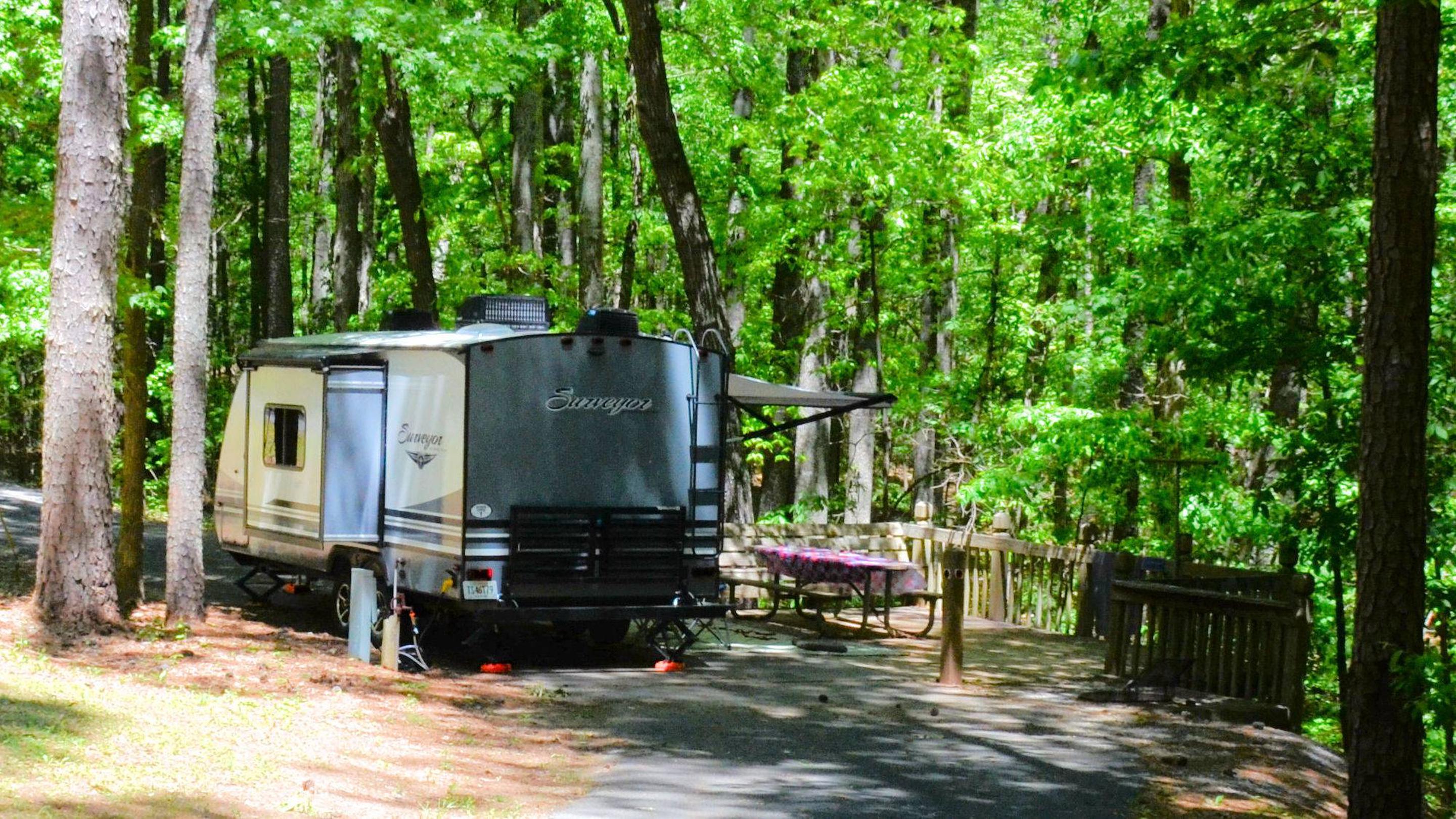 Site 138, Mckinney Campground - Recreation.gov