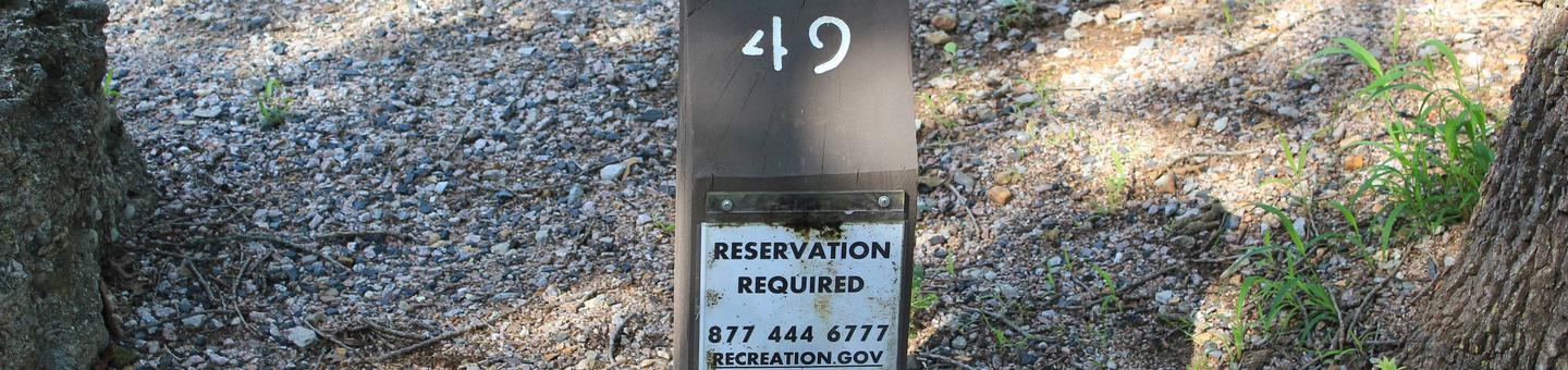 Site 49 Buckhorn campground