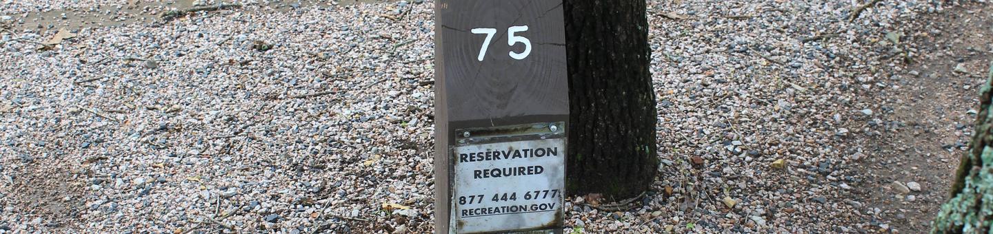 Site 75 Buckhorn campground