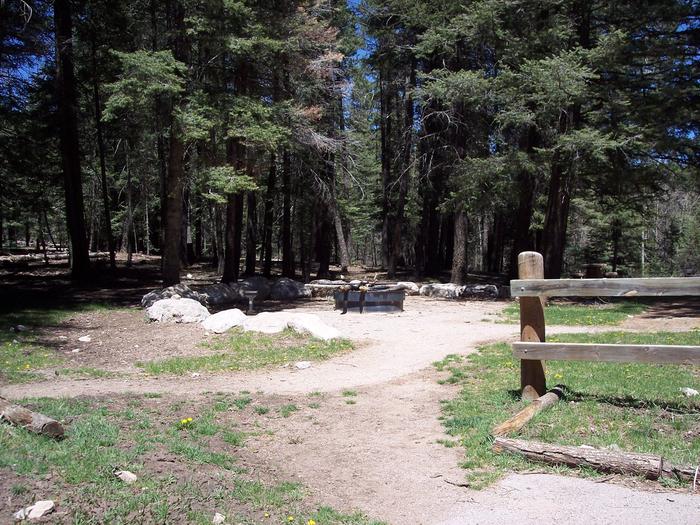 Black Bear Group group site fire pit. 