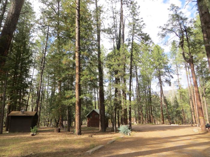 Christopher Creek Campground views of tall pines and restroom building. 