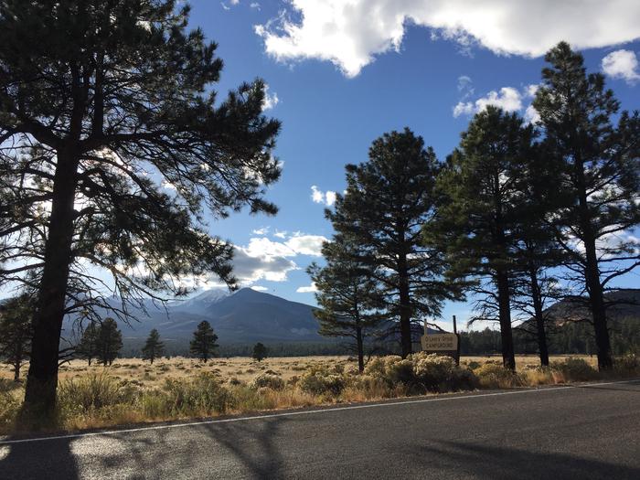 O'Leary Group Campground with beautiful mountain views from the road