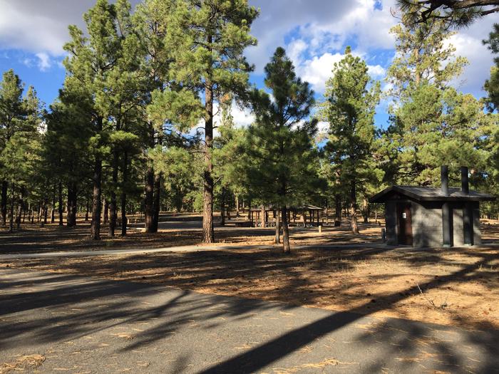 O'Leary Group Campground surrounded by Coconino Forest