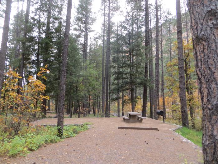 Pine Flats Campground with Amazing Mountain Views
