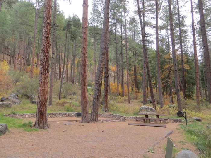 Pine Flats Campground surrounded by Coconino Forest