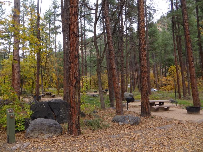 Pine Flats Campground in the Fall