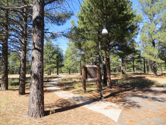 Pinegrove Campground Paved Path
