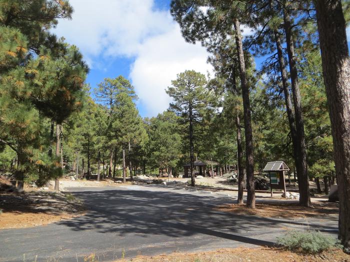 Preview photo of Whitetail Campground