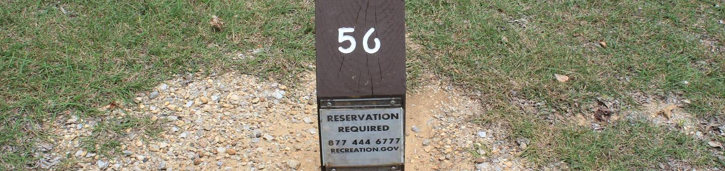 Site #56 Point Campground