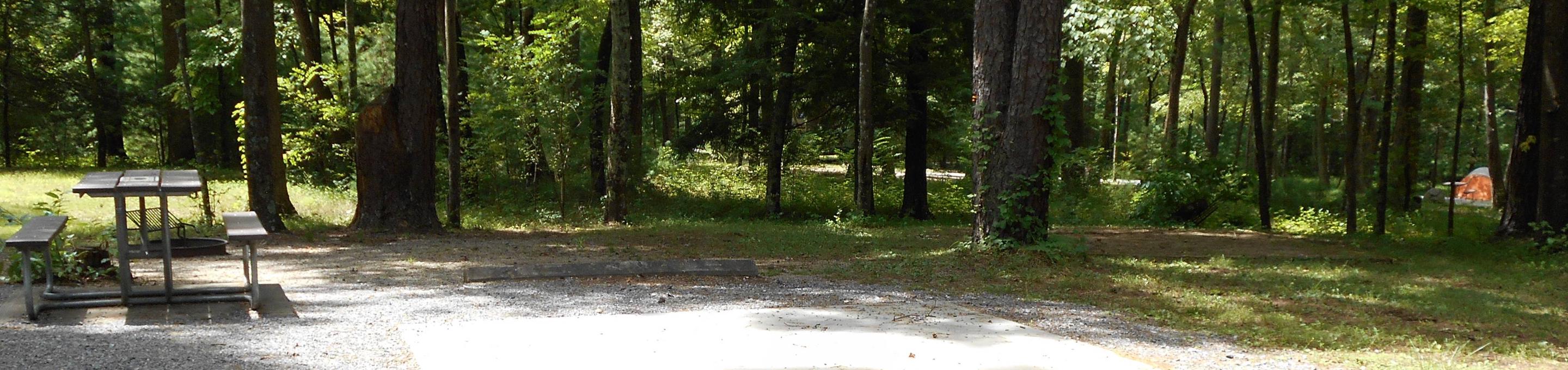 Site B47, Cades Cove Campground Recreation.gov