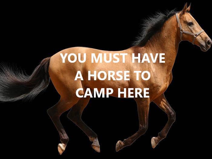 Horse with wording, "You must have a horse to camp here."You must have a horse to reserve horse camp. Comes with picnic table, 1 food locker , 1 feed locker, and fire ring. 
HRS 1