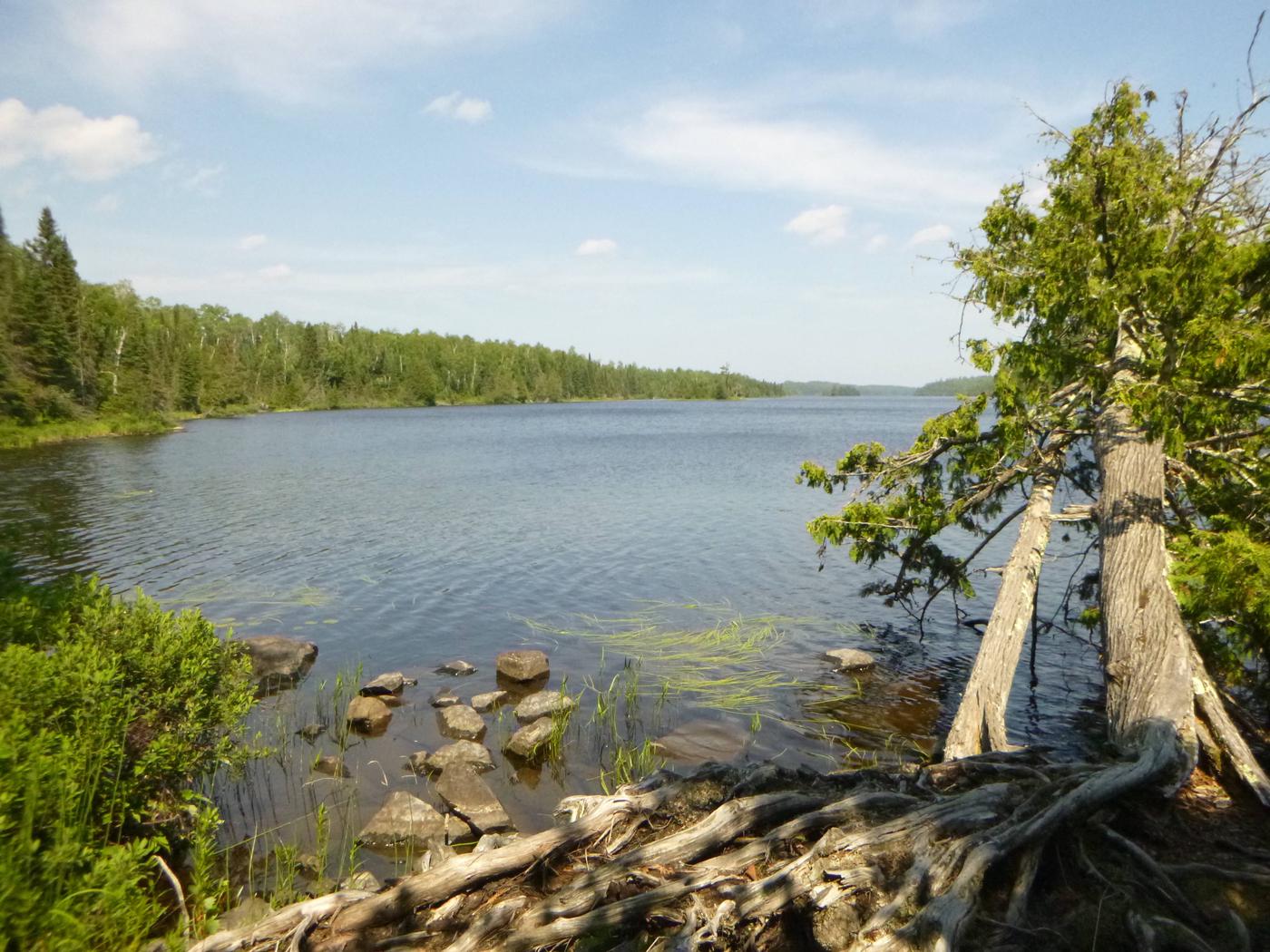 Escape to Serenity: Your Guide to East Bearskin Lake Campground in Minnesota