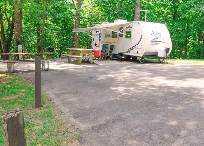 Awning-side clearance, campsite view.McKaskey Creek Campground, campsite 51.