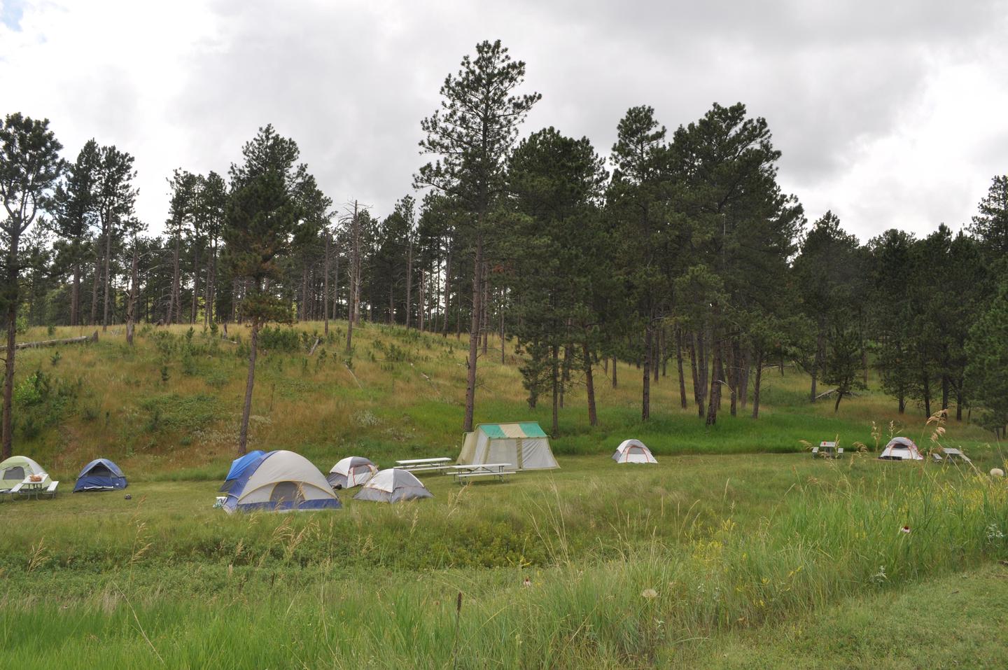Elk Mountain Campground Group CampsiteThere are two group campsites available to reserve at Elk Mountain Campground.