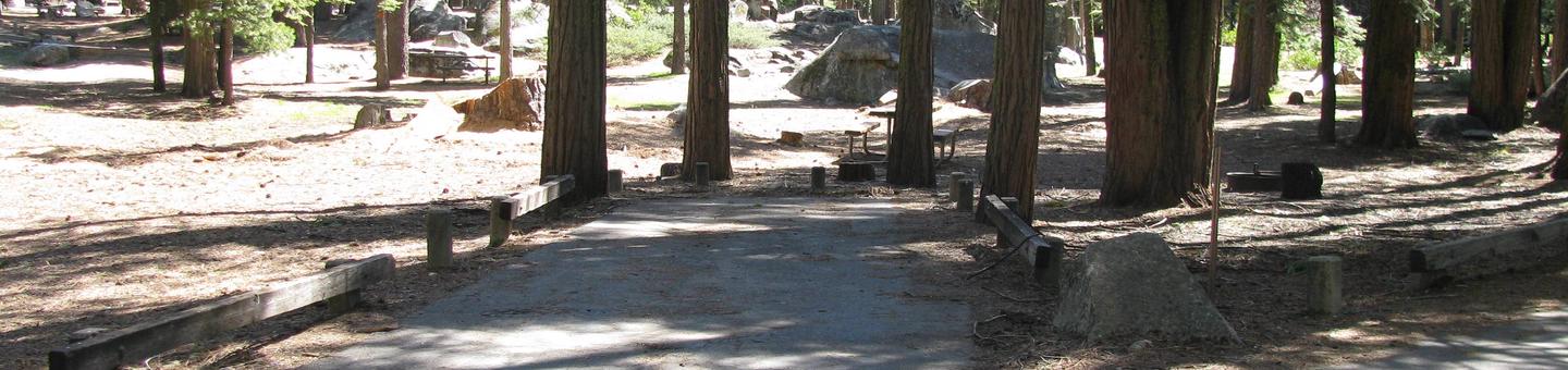 Pinecrest Campground Site C25