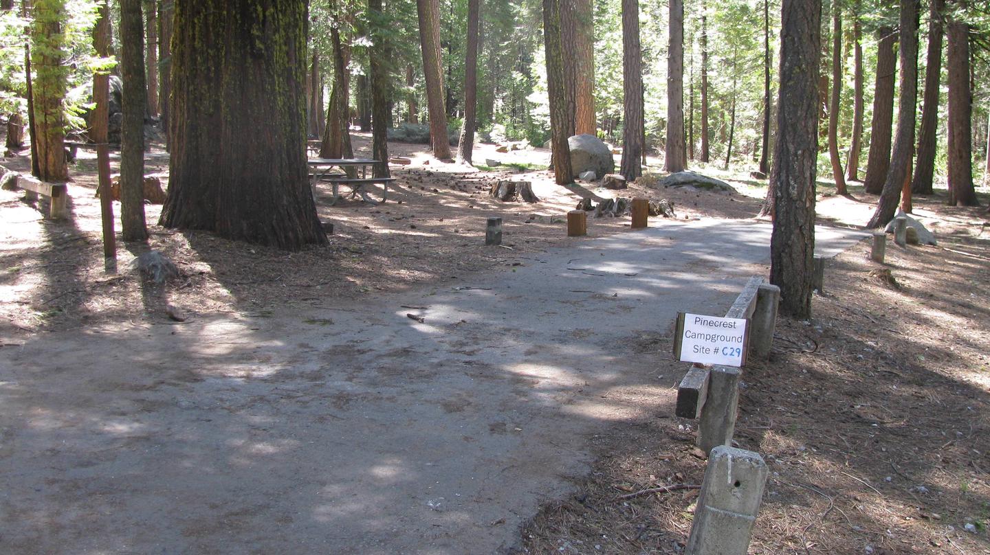 Pinecrest Campground Site C29
