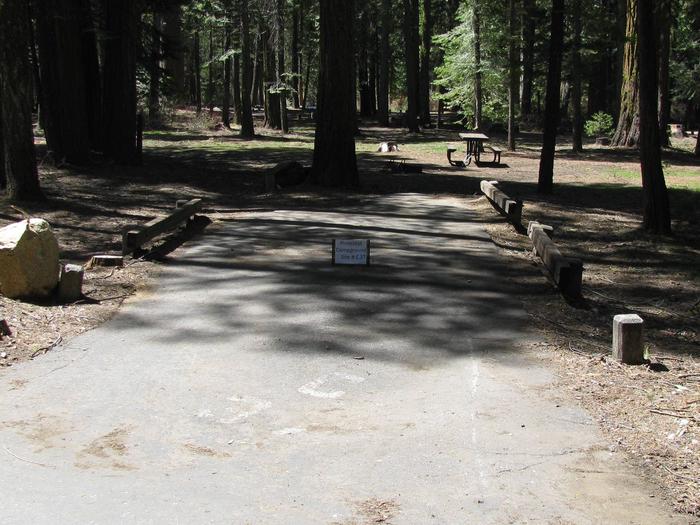 Pinecrest Campground Site C37