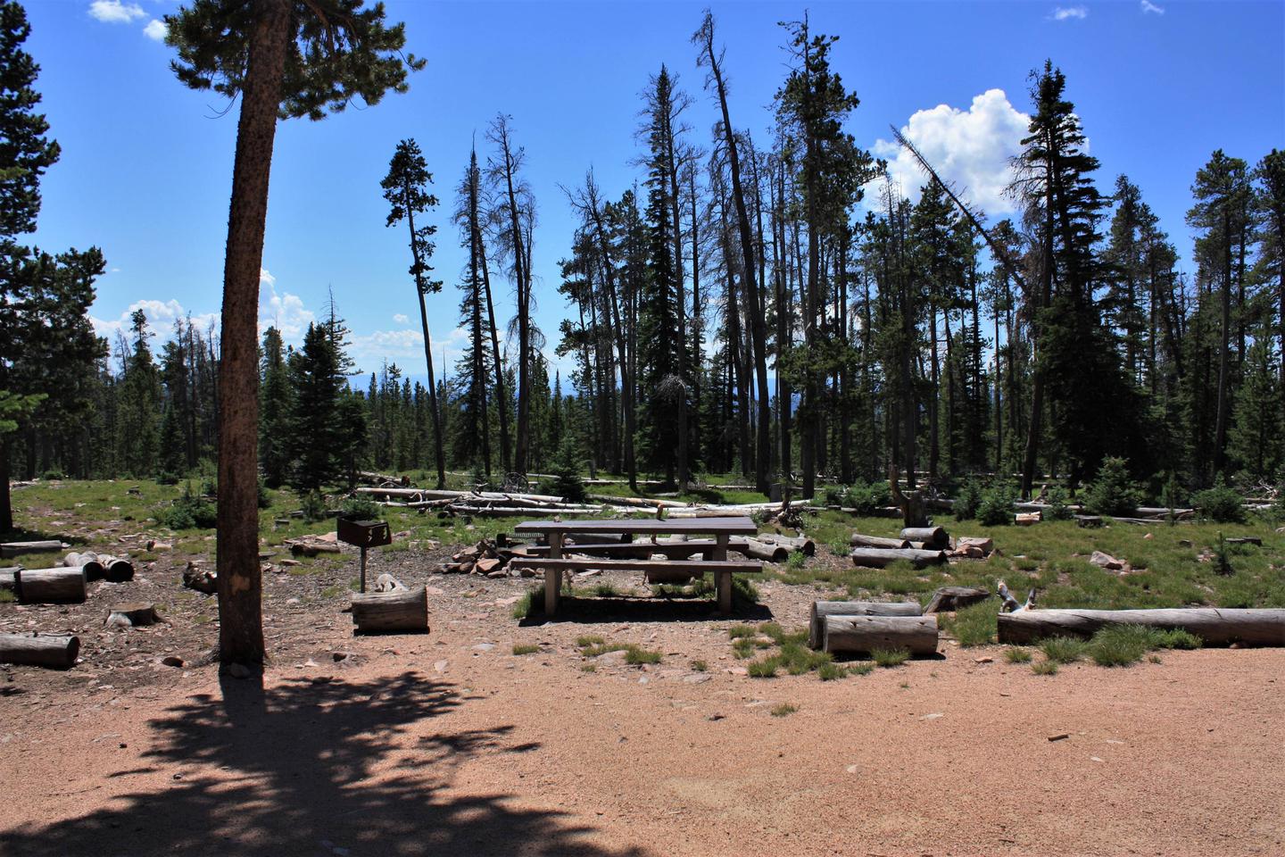 Spruce Mountain Fire Lookout Tower picnic area and fire pit