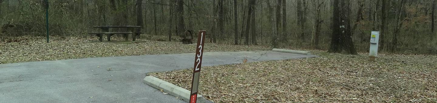 picnic table and fire pit located to the left of camp pad, electric and extra parking to the right of pad. located near bathroom