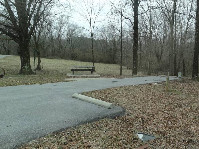picnic table and fire pit located to the left of camp pad, electric, water, sewer, and extra parking to the right of pad. located near bathroom