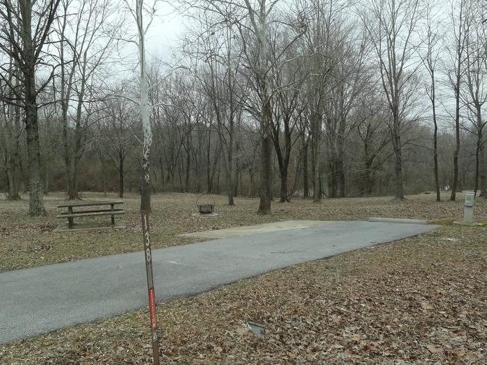 picnic table and fire pit to the left of camp pad, electric, water,and sewer to the right of pad.