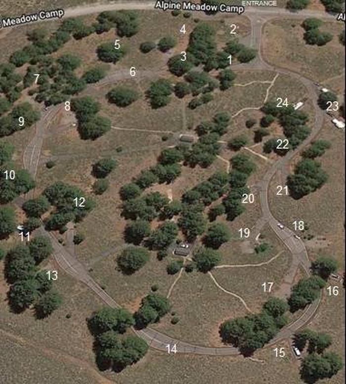 Alpine Meadow Campground Satellite ViewAlpine Meadow Campground satellite view with site number overlay.