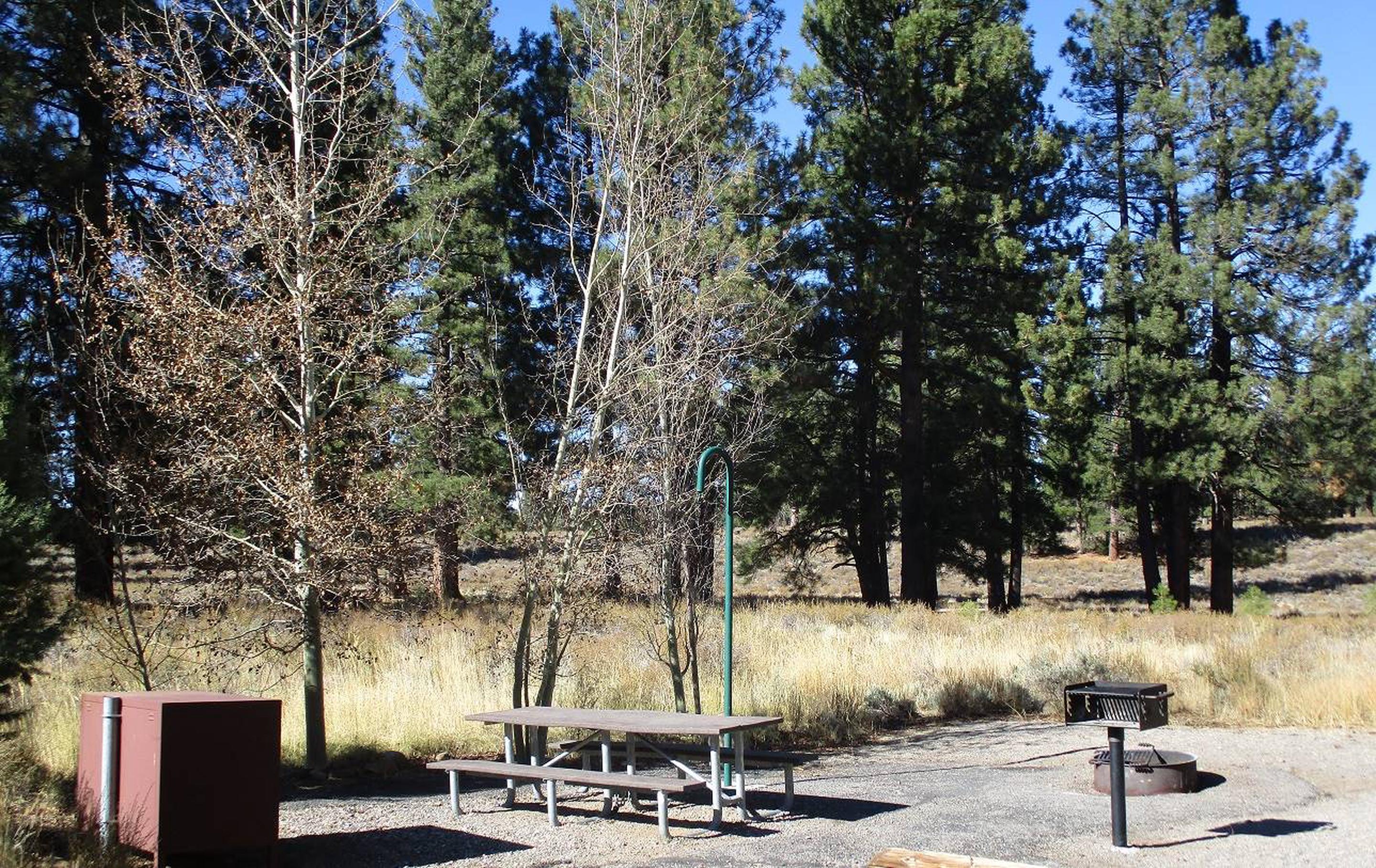 Alpine Meadow Campground, Martis Creek Lake - Recreation.gov