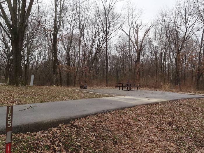 picnic table and fire pit to the left of camp pad, electric and water to the right of pad.