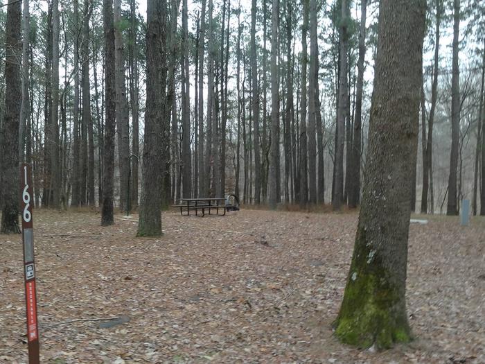 picnic table and fire pit to the left of camp pad, electric, water, and sewer to the right of pad.