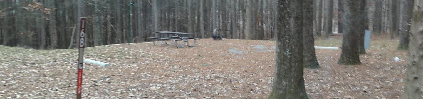 picnic table, fire pit, and extra parking to the left of camp pad, electric, water, and sewer to the right of pad.