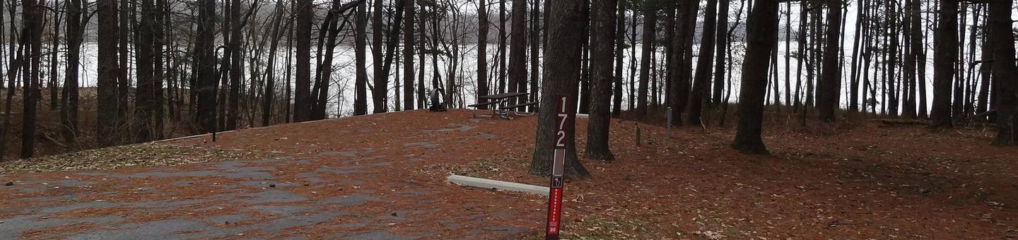 picnic table and fire pit to the left of camp pad, electric, water, sewer, and extra parking to the right of pad.